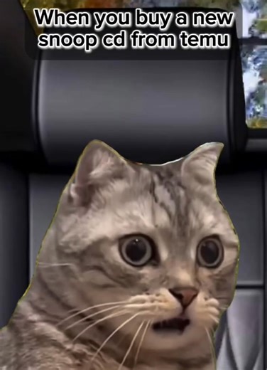 203K views · 2.6K reactions | Stroke Mastro on Reels | Facebook