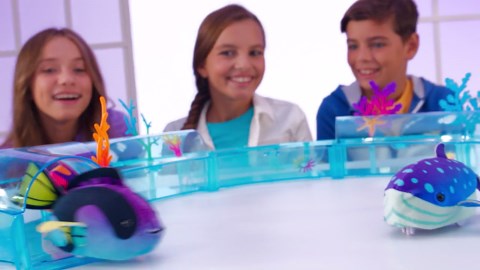 ZhuZhu Aquarium Motorized Fish Toy – Finnegan the Clown Fish - No Water, No Mess, All Fun