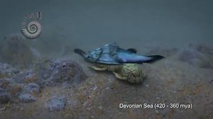 30K views · 549 reactions | Marine Life in the Devonian Sea | Animation by @PaleoZoo. | Prehistoric Life in the Phanerozoic Eon | Facebook