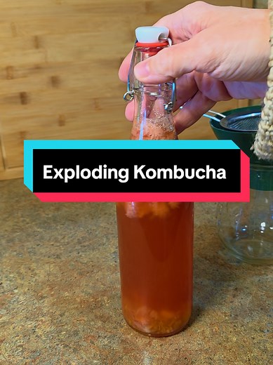 Exploding Kombucha: A Delicious Experiment