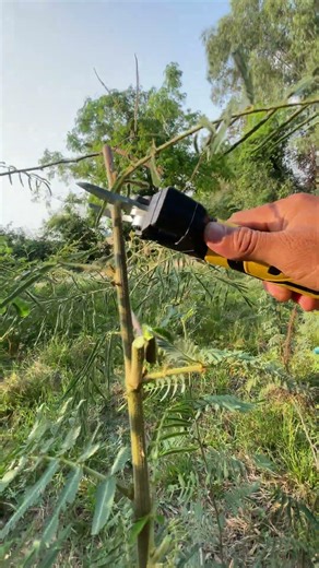 electric scissors easy use save time #tool P6914