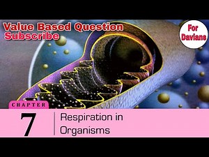 🧯Respiration in organisms | Dav Class 7 Science Chapter 7 Question Answer | Value Based Question |