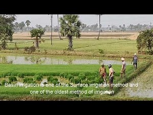 Basin irrigation method, 8th class,8th lesson , production and management of food from plants, 132 p