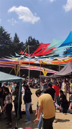 Exploring the Vibrant World of Psytrance at Equinox Festival