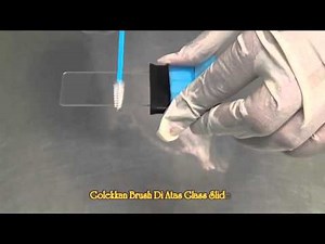 PAP Cytology Procedure