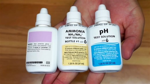 Watch API Freshwater Master Test Kit on Amazon Live