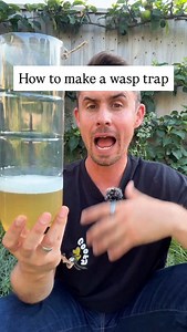 143K views · 3.4K reactions | How to make a wasp trap for your garden...