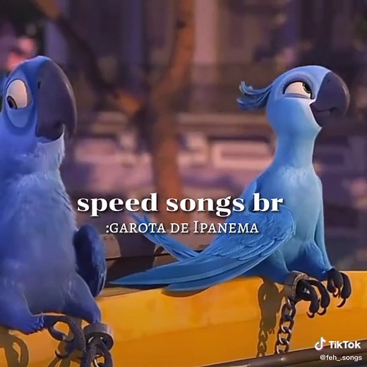 por causa do amor 💙🇧🇷#rio #brazil #brazilian #brasil #songs #feh_songs #speedsongs