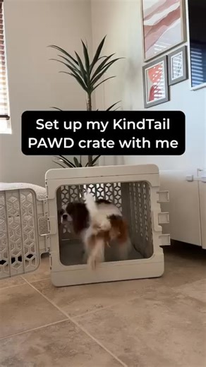 Meet the dog crate that finally matches your home. 🌟 PAWD® Modern Collapsible Dog Crate — stylish, lightweight, and folds flat in seconds. Perfect for small spaces, travel, or creating a cozy spot your pup will love. Beautiful design. Stress-free setup. Comfort built in. 💛 Upgrade your pet’s space today! | QVC depot