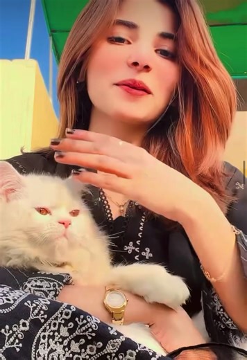 Lucky Cat Compilation: Adorable Moments