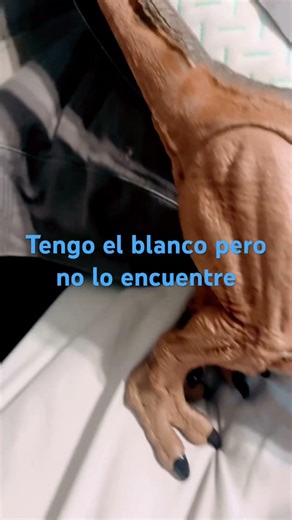5 de abril de 2026