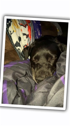 Megan b (@meganbonach)’s videos with original sound - Megan b