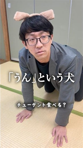 【完コピ】「うん」という犬 #コント #犬