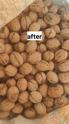 walnuts before and after harvesting in our farm