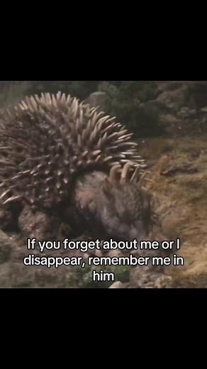 Godzilla vs Anguirus: An Epic Showdown