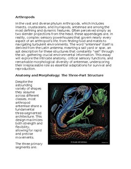 Arthropods in Zoology Sub-Plan Classwork Homework