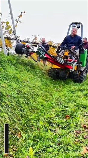 Precision Vineyard Care: Advanced Grass Cutting Technology