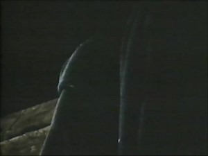 The Blackadder The Queen Of Spain's Beard (1990 UK VHS)