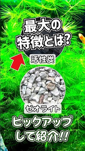 [Aquarium] The crucial difference between "activated carbon" and "zeolite," both of which are fam...