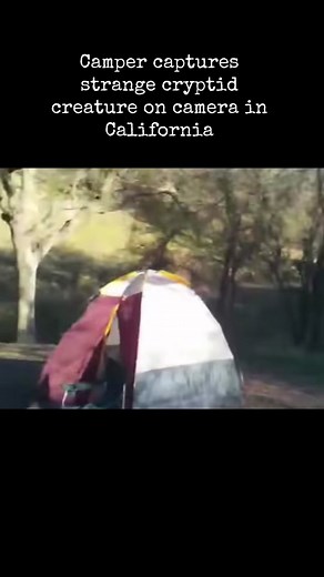 FierceEarthProd on Youtube captures strange cryptid creature caught on camera by camper… #werewolf #wolf #creature #caughtoncamera #sighting #dogman #skinwalker #nativeamerican #legend #bigfoot #bigfootisreal #bigfootcaughtoncamera #cryptid #cryptozoology #camper #camp #camping #fresnocalifornia #california #paranormal #fyp