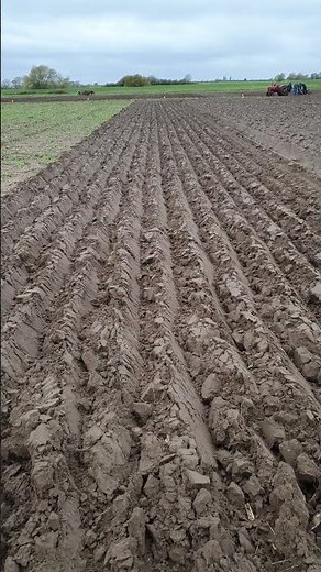 Massey Ferguson 420 Kverneland Sturton, Stow Ploughing Match - Torksey - Sunday 26th October 2025