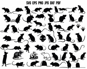 Rat Silhouette | Rat SVG | Animal SVG | Animal Silhouette | Mouse Svg | Rat Cut File | Rat Cricut | Rat Clipart | Rat Sublimation | Vector - Etsy