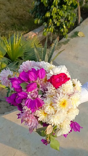 Jashan e molood e kaba Mola Ali a. s Mubarak #jamraohead1 @Qamar Abbas @sajjad Ali 996 @for you @t6679kh78 @Ali Murad Mallah @Asif Ali Mallah @@sajjad ali996