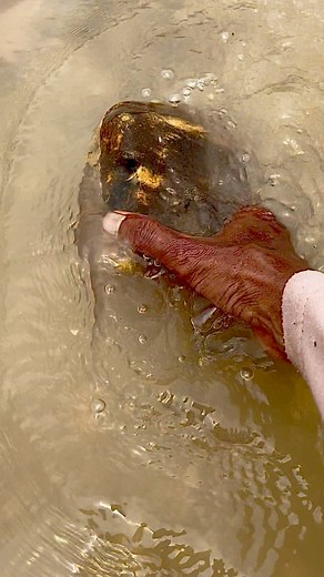 I found a black wood fossil stone inside. #woodfossil #stone #blackwood #blackstone #hunting #treasuresearch #gemstone #goldmine #adventure #huntinggemstone #nature | The GemsHunter