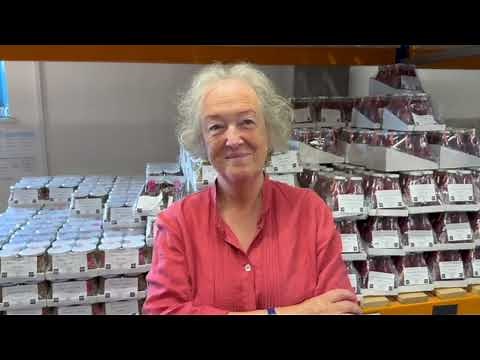 Interview with Alison Lea-Wilson MBE - Managing Director of Anglesey Sea Salt Co