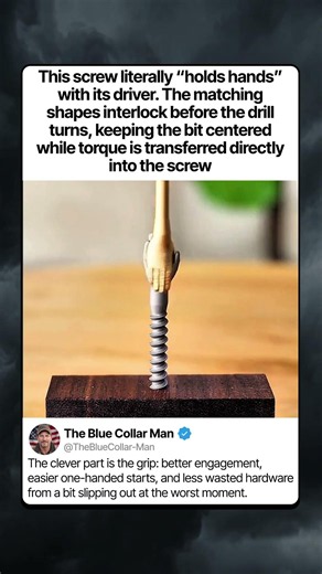 THIS SCREW LITERALLY LOCKS IN