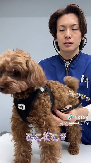 TikTok - Make Your Day