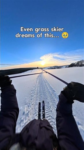🤫 Even a grass skier dreams of this #ski #skiing #snowboarding