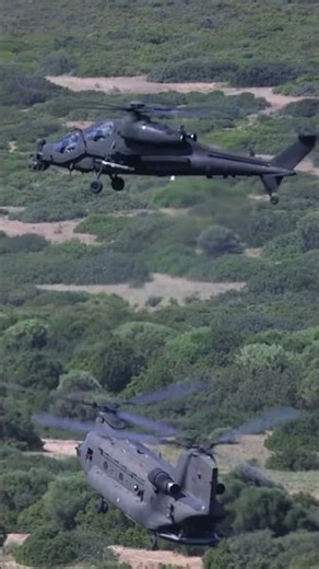 Contest Social Esercito Italiano 2025