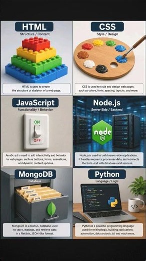 What Does HTML, CSS, JS, Node.js & MongoDB Actually Do?