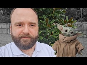 Save Time, Water, and Wildlife | Five Benefits of Native Plant Gardening