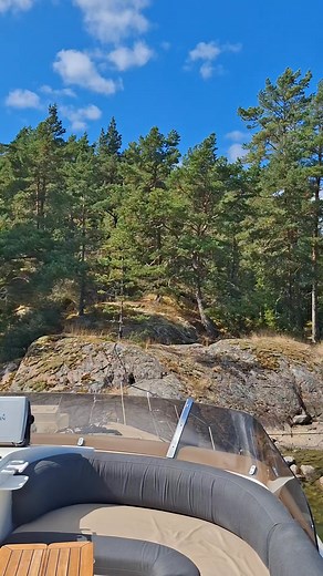 Ja idag bara vi njuter av att sommaren är tillbaka | Stefan Gustavsson