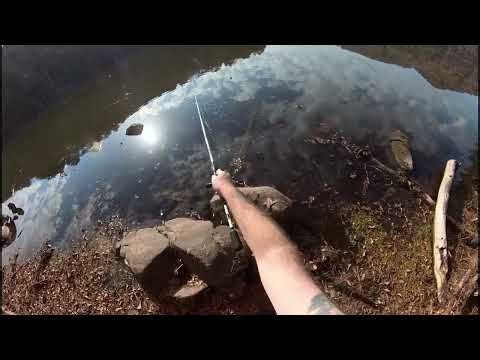 Fishing in Guntersville Al