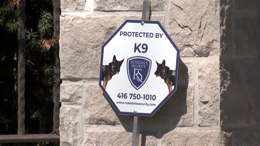 Rosedale residents opt for private security amid rise in break-ins