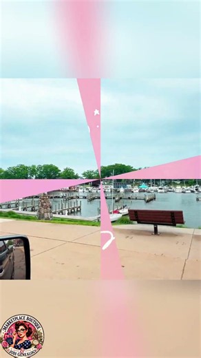 Anniversary Trip Surprise: South Haven Adventure Begins! #shorts