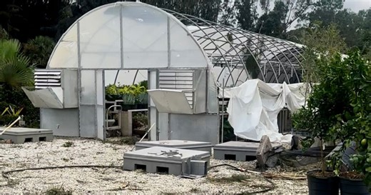 'Community showed up:' Jupiter residents begin cleanup efforts following tornado damage