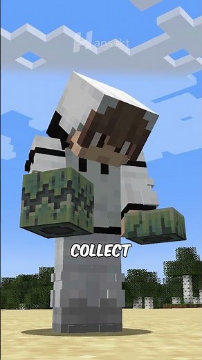 this mod added whale in minecraft