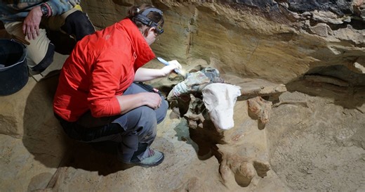 Renovirao je vinski podrum, pa doživeo šok života: "Ovo je najznačajnije otkriće u poslednjih 150 godina"