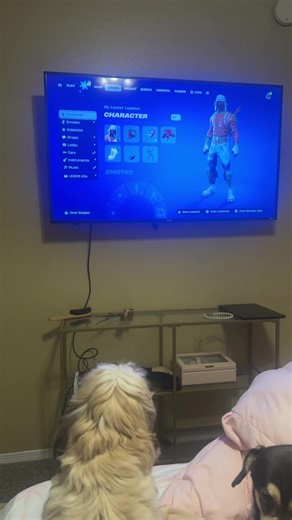 Dog Reaction to Fortnite Beef: A Hilarious Moment