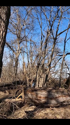 Trick to get Husqvarna running #tricks #logging #husqvarna | Boys In The Woods