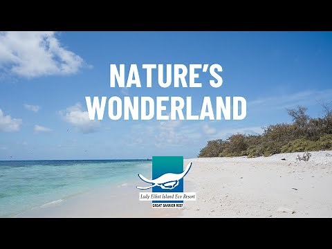 Lady Elliot Island, Nature's Wonderland, Southern Great Barrier Reef