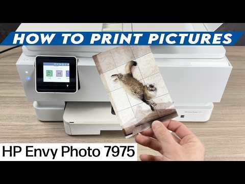 How to Print Pictures With the HP Envy Photo 7975 Printer