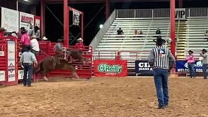 3.1K views · 82 reactions | Last night was the final night of the Southeastern Circuit Finals Rodeo, and Hi Lo ProRodeo took home another beautiful Montana Silversmith Top Saddle Bronc buckle. Cody “Hot Sauce” DeMoss rode 404 Palindrome for 88.5 points to win the round. 404 Palindrome also helped DeMoss take home the average win. #HiLoProRodeo | Hi Lo ProRodeo | Facebook