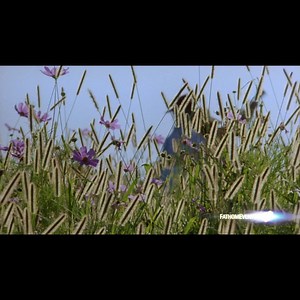 7.1K views · 118 reactions | Director Steven Spielberg’s adaptation...