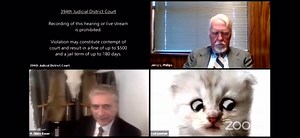 10K views · 142 reactions | "I'm not a Cat" Lawyer stuck in Kitty Zoom filter tells Judge. I died when the Lawyer said, "I'm prepared to go forward with it"  | Tactical Cat | Facebook