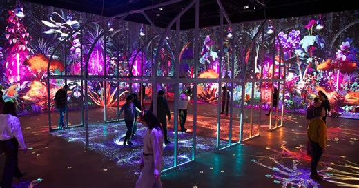 Une nouvelle expérience immersive et végétale au Futuroscope va enchanter petits et grands